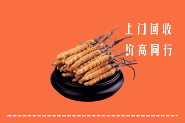 收购行情：武进区冬虫夏草回收多少钱每克